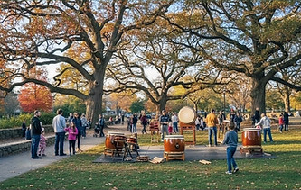 Festival Drummers Turo park_edited.jpg