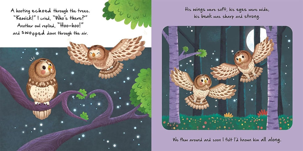 縮圖：Little Owl
