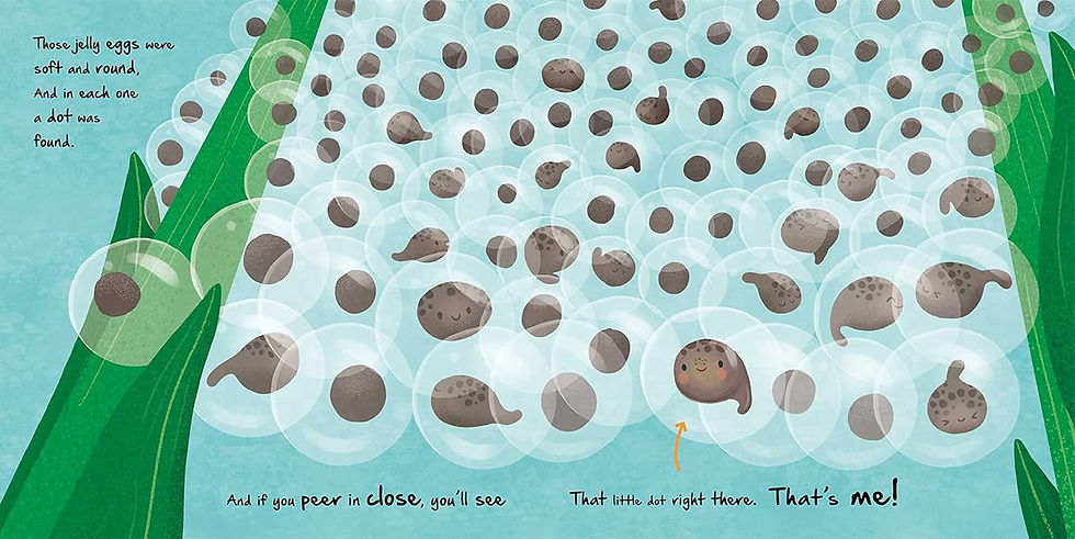 縮圖：Little Frog