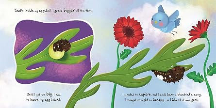 縮圖：Little Caterpillar