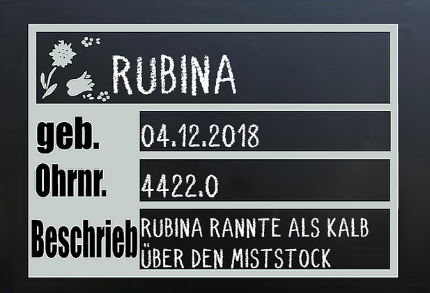 Unbenannt.png