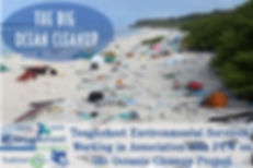 Ocean Cleanup.jpeg