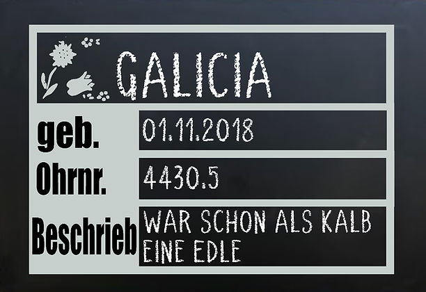 Stallschild Galicia 2.jpg