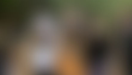 T.R.I.B.U. Sobre Mujeres que corren con los lobos.