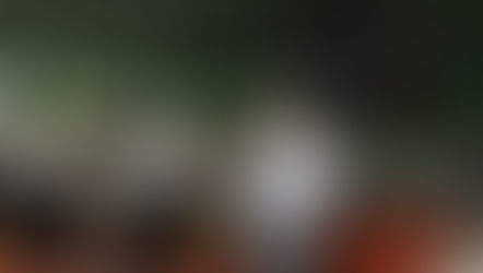 Disciplina.Disciplina.Disciplina.