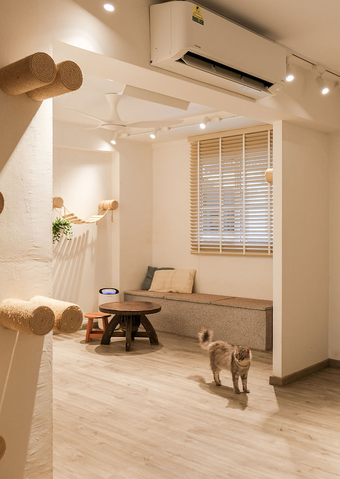 407 Tampines St 41 (6).jpg