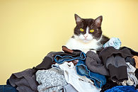 AdobeStock_131987188.jpeg