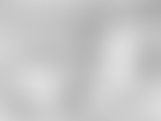 FINEST CRICKET STROKES