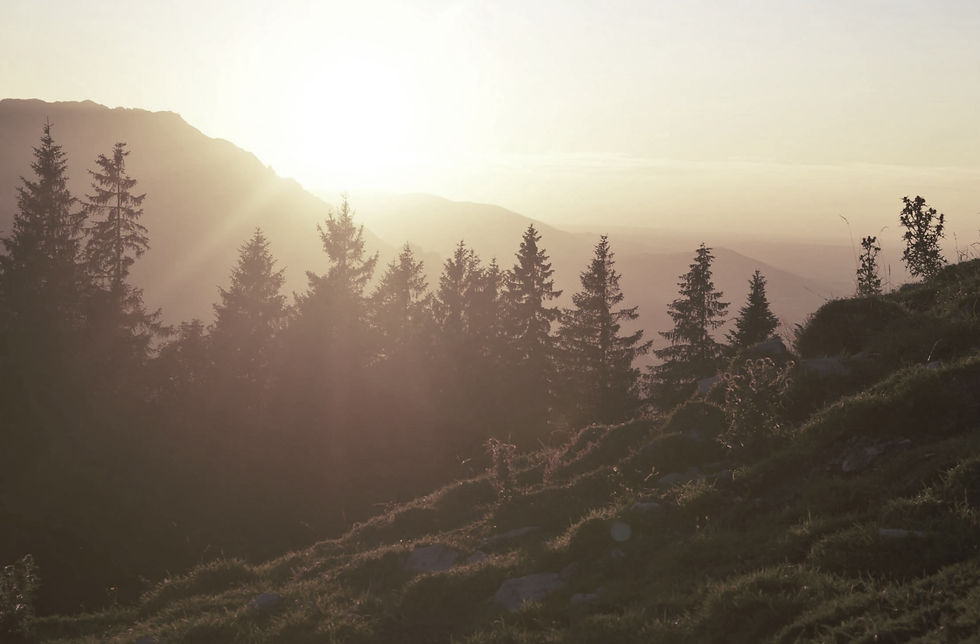 Screenshot 2025-08-30 at 9.49_edited.jpg