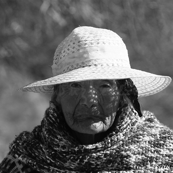 LE CHAPEAU BLANC