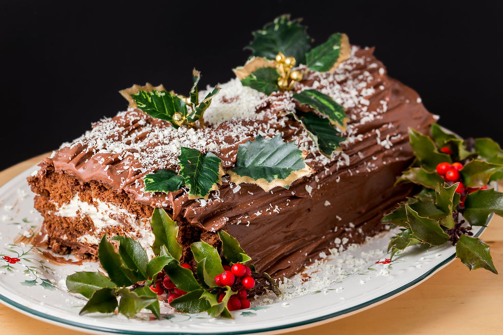 gluten free chocolate yule log www.kenwphoto.com