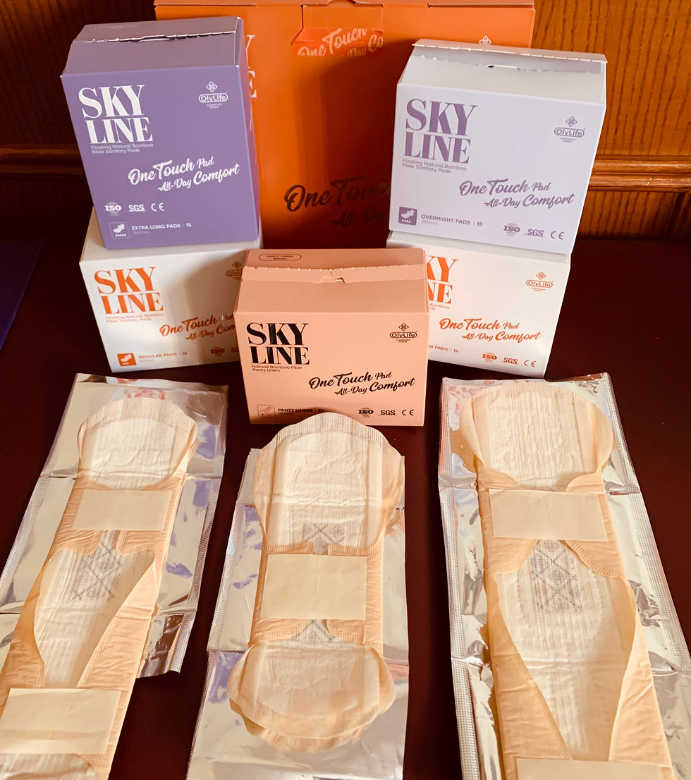 Sanitary Napkins Image