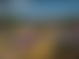 sweet acacias, cactus blossoms, bushmints, creosote chaparral bush, blue sage and desert lavender