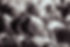 1P7A8296.JPG