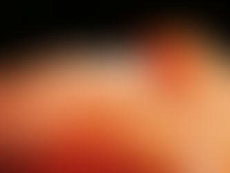 Neues Bild