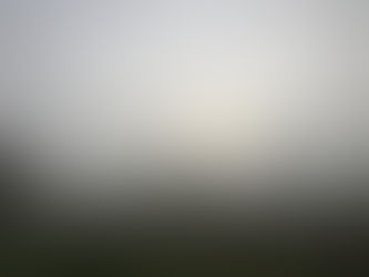 Januarmorgen