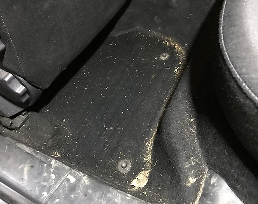 Škoda Octavia Sedan