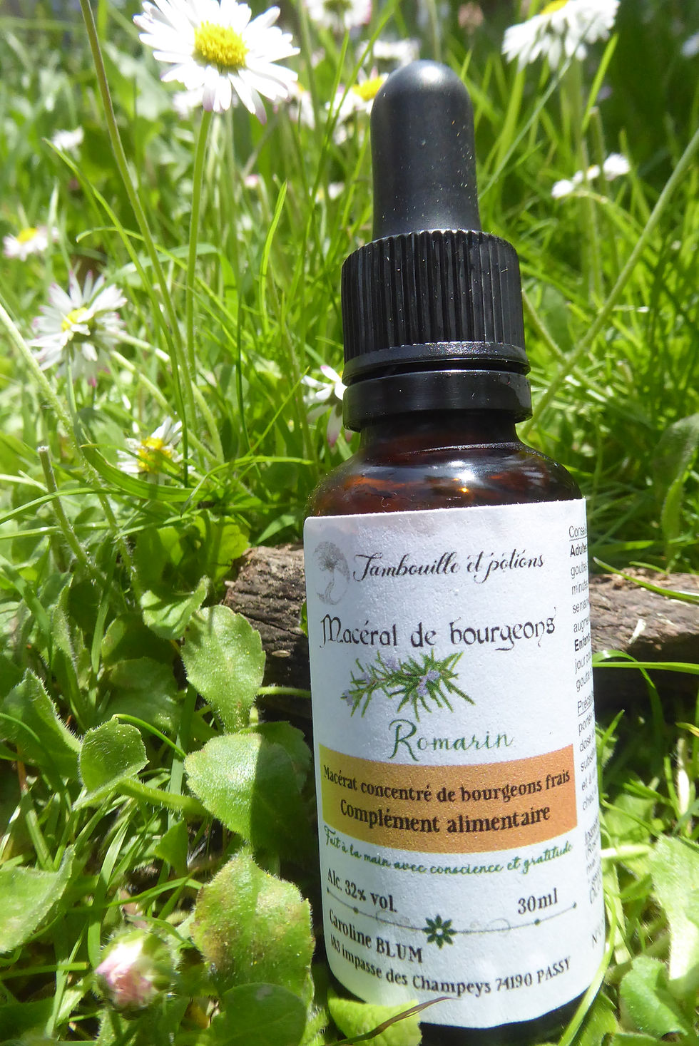 flacon de jeunes pousses de romarin