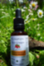 Flacon de gemmothérapie d'églantier rosa canina