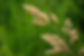 ddf_3689-1300x863.jpg