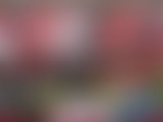 UNHAN dan IPSI Dorong Modernisasi Pertahanan Komprehensif Sebagai ResponKerentanan Wilayah Indo-Pasifik