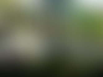 Reassessing Indonesia’s Plan to Increase Defence Budget