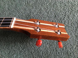 122179288_373940077128874_70837400987678