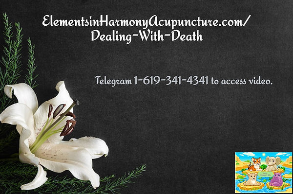 death lily-flower-on-the-dark-background-condolence-card-empty-place-for-a-picture-id83018