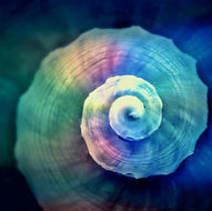 2024, The number 8 Year."The Eternal Portal Ascension series".
