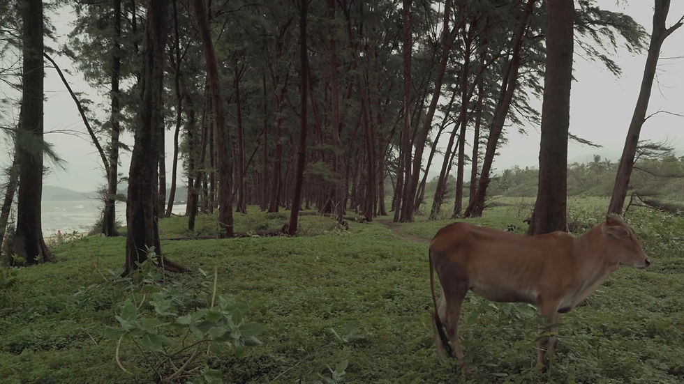 Screenshot_4.jpg