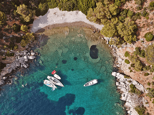 TREE BENCH ADVENTURES: "WHY YOU SHOULDN'T MISS A SAILING PARTY ON NAZIARA"