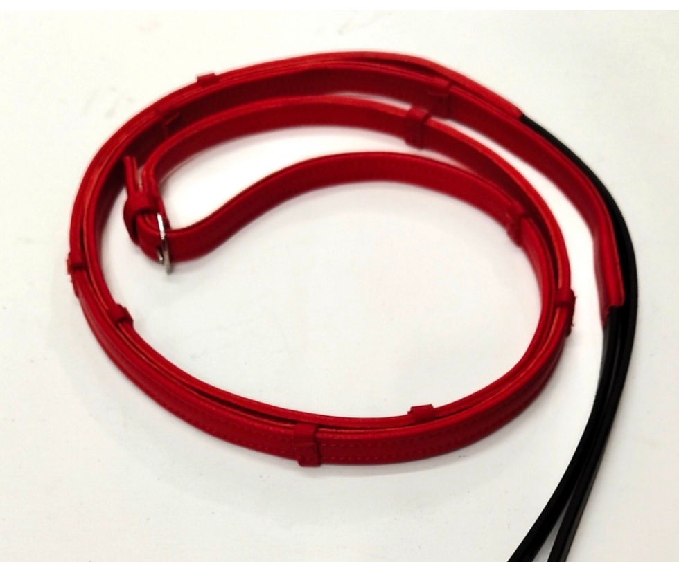 Thumbnail: Coloured Padded Leather Reins