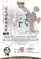 3rd Class TKD Judge Qualifying Course WEB.png