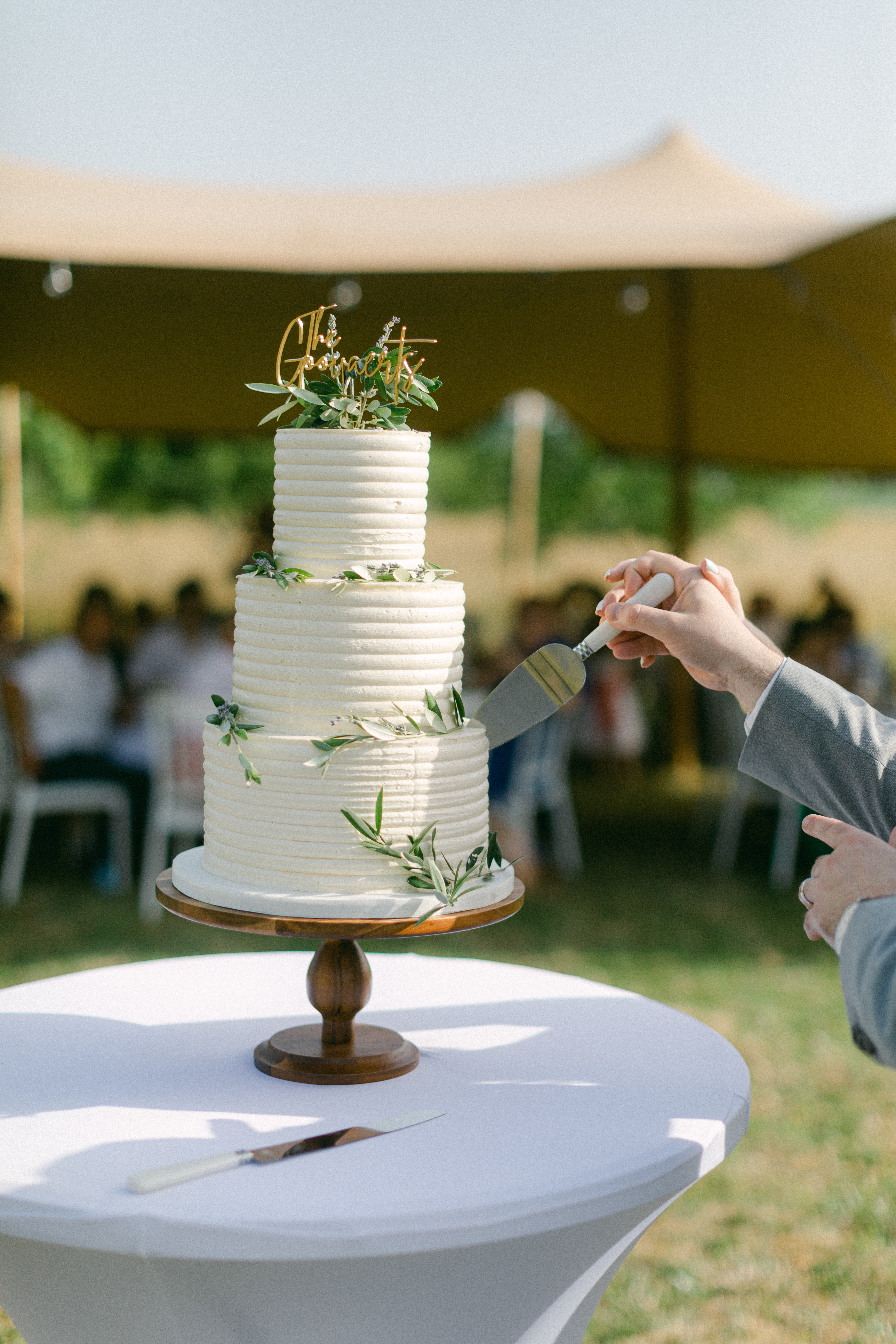 image_6483441 copy.JPG