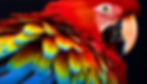 WM-Screenshots-20241219165731_edited.jpg