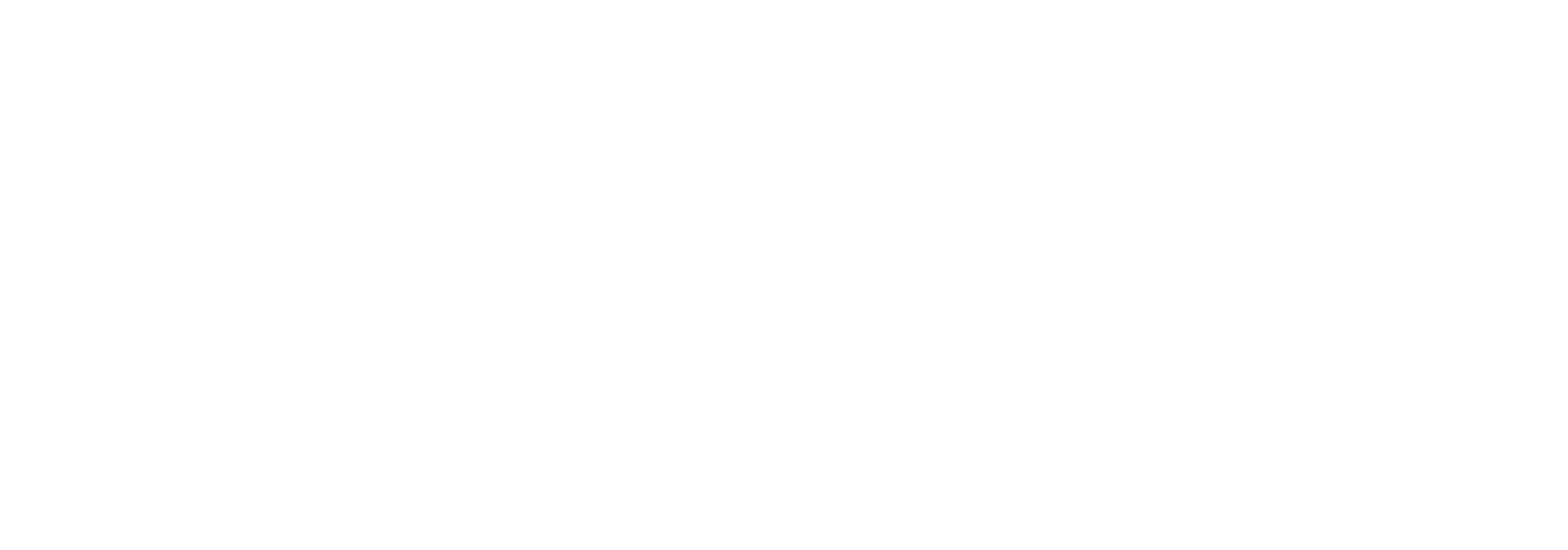 MARNIK-LOGO-WHITE.png