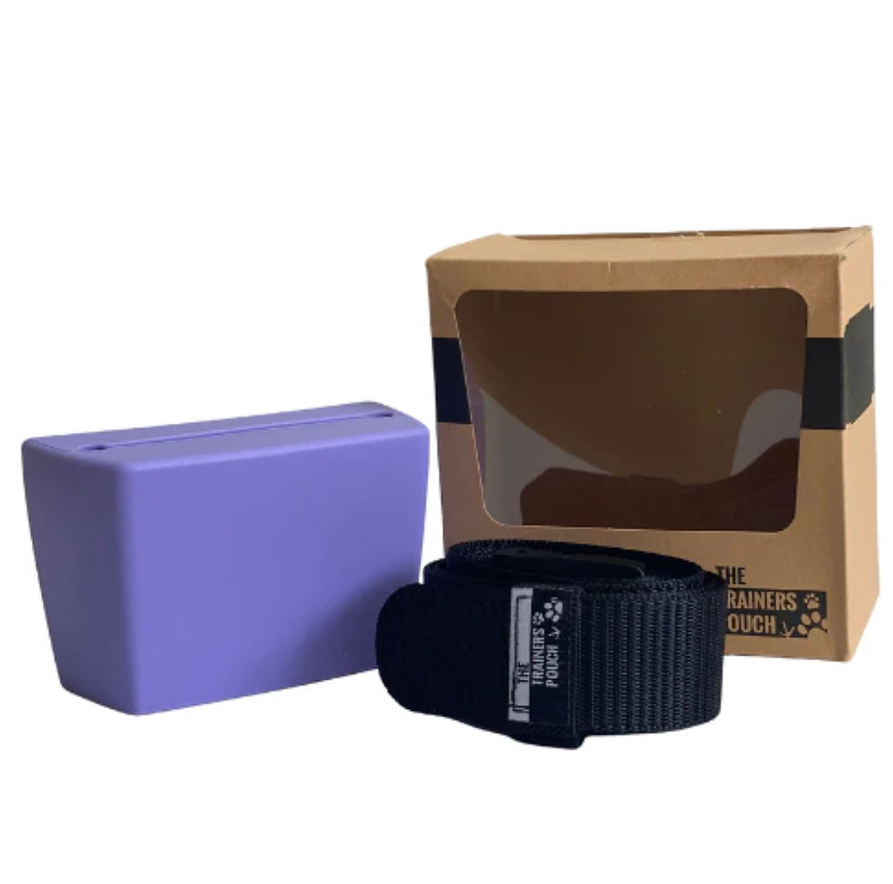 PRE - ORDER The Pocket Training Pouch Periwinkle