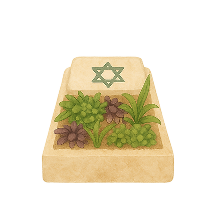 קבר מאויר.png