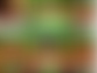 運輸労連神奈川県連結成５０周年記念レセプションを開催