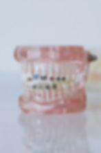 Orthodontics.jpg