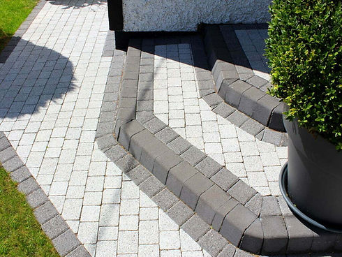 Tegula-3-sized.jpg