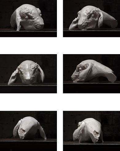 Contact sheet 1.JPG