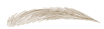 眉毛3色 2.png
