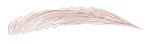 眉毛3色 1.png