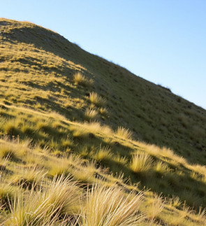 sumner-mahaffey-7Y0NshQLohk-unsplash_edi