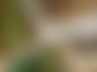 Elegância Orgânica: o apelo da natureza