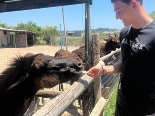 Abenteuer pur auf Rhodos!