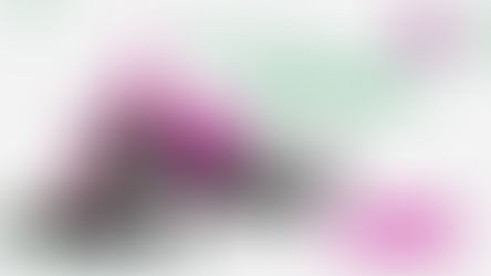 Converting An Limited Liability Company(LLC) To A Small Business Corporation(S-Corp)