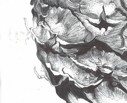 drawing (2).jpeg