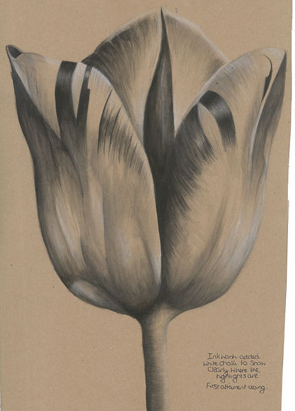 scan_shedubii1_2022-05-25-09-25-44_3.jpeg